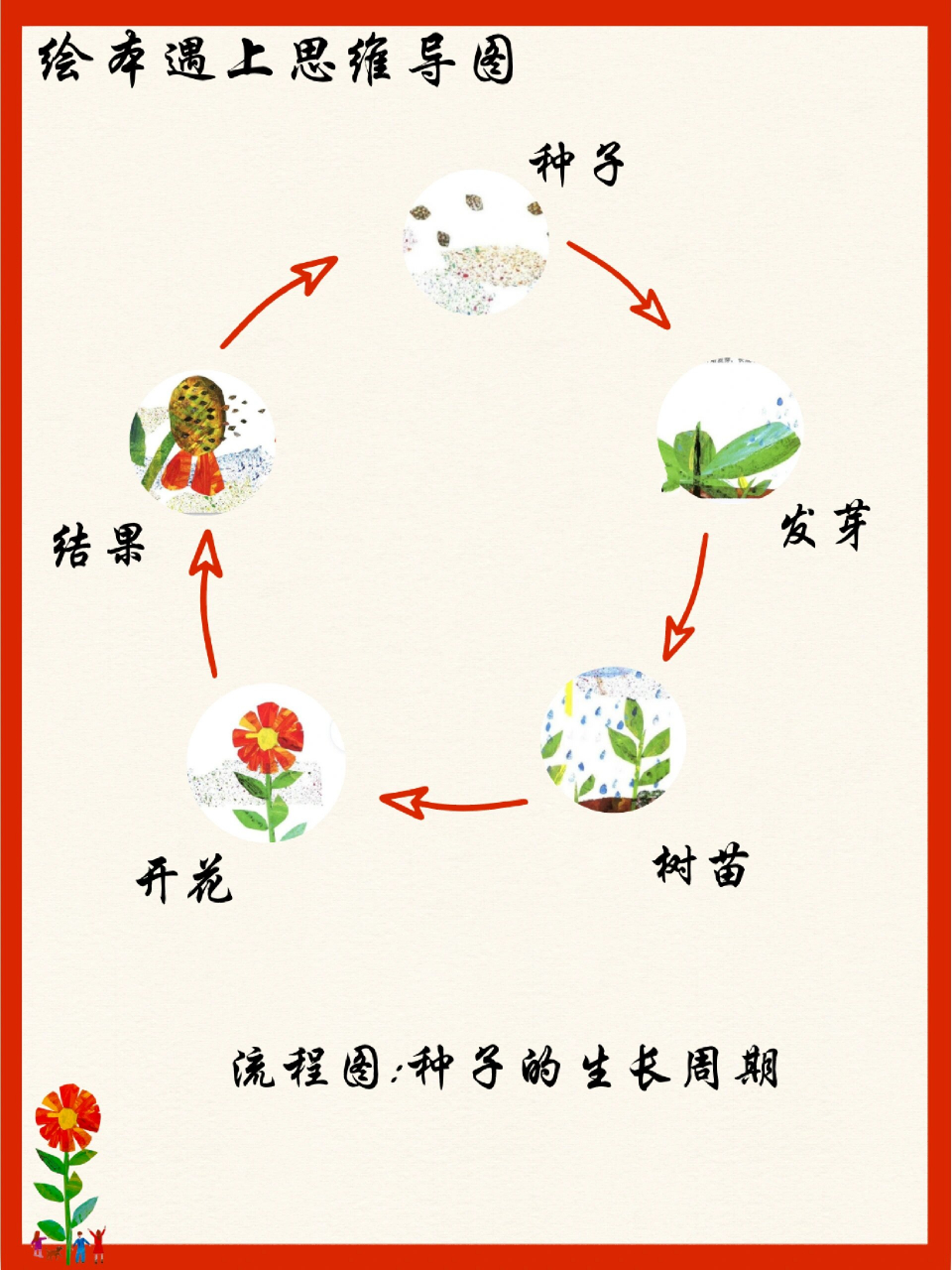 种子萌发生物思维导图图片