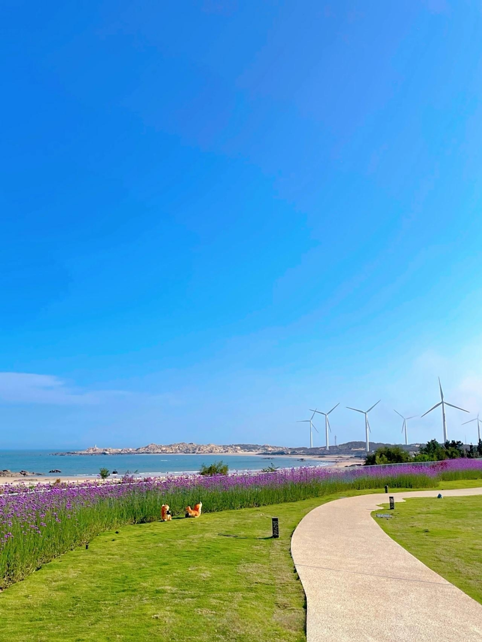 泉州新店|晋江超美小众海边自在海·星海营地 92自在海·星海营地