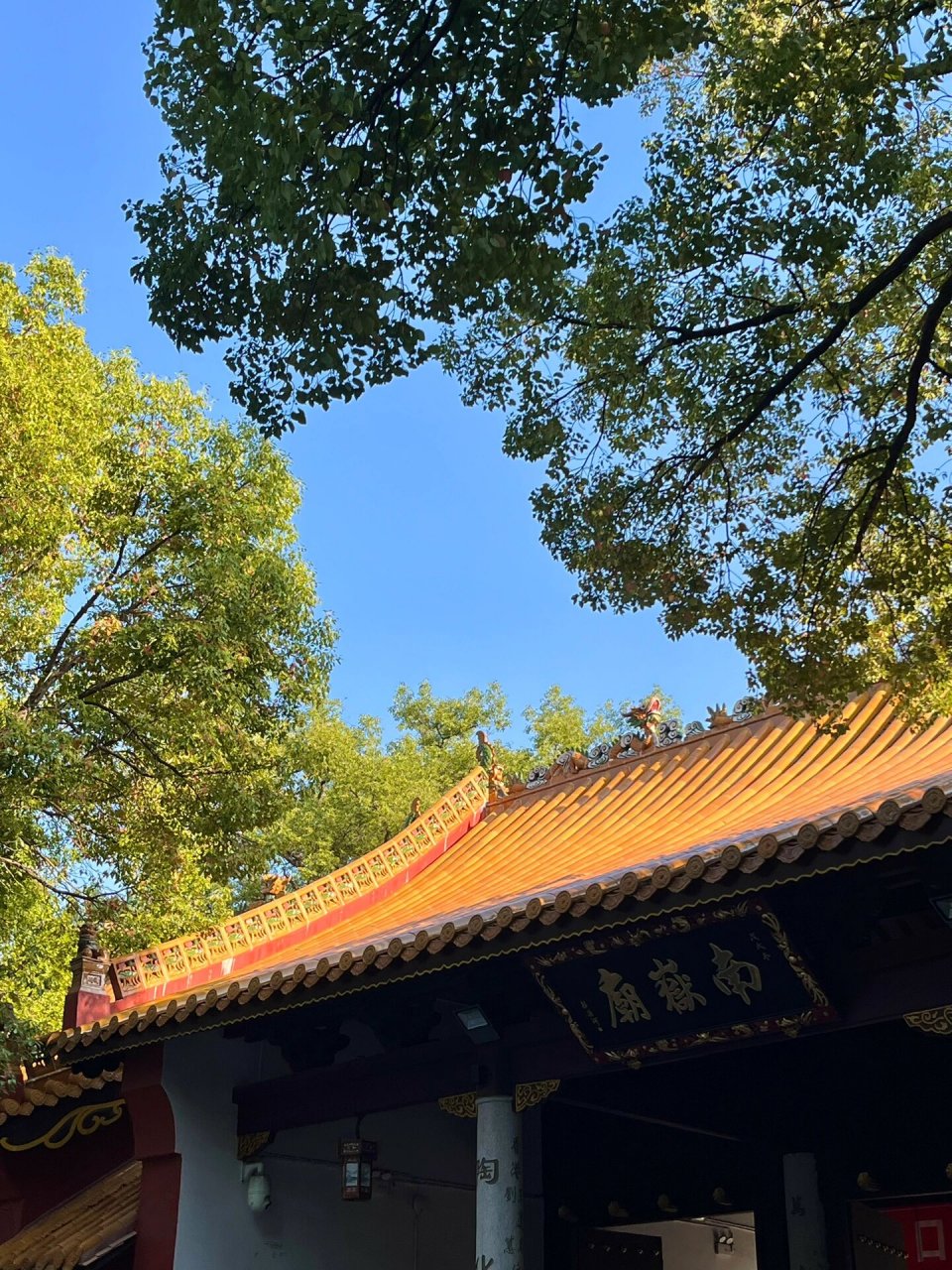 99南岳大庙| 山寺清幽 来者心诚 第一次来南岳衡山 听说朝向非常旺
