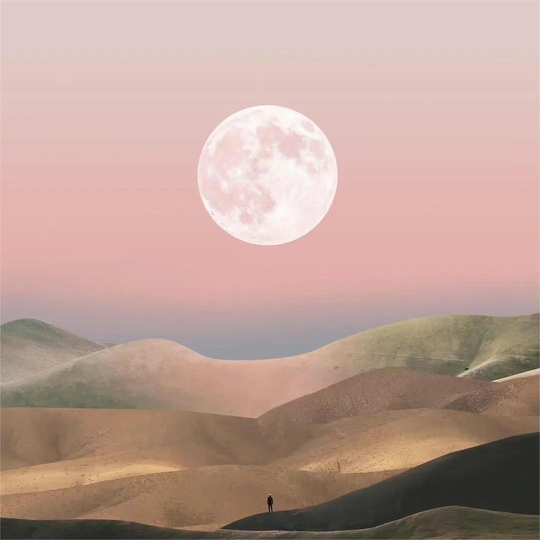 适合40岁以上父母用的头像