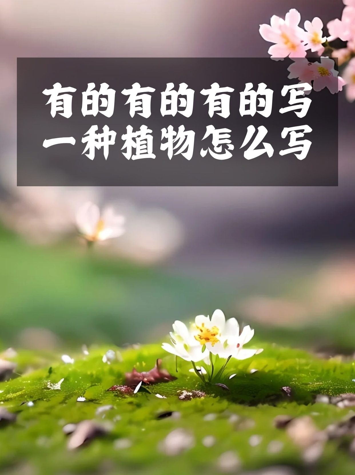小练笔写一种植物50字(拟人,比喻)(小练笔写一种植物100字拟人,比喻)