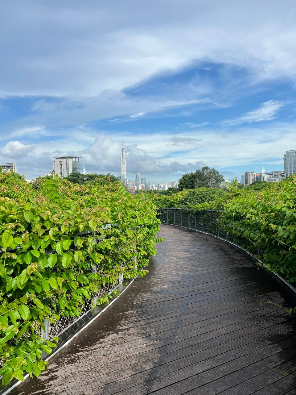 深圳香蜜公园|让人流连忘返的市政公园 在寸土寸金的城市中心,留着一