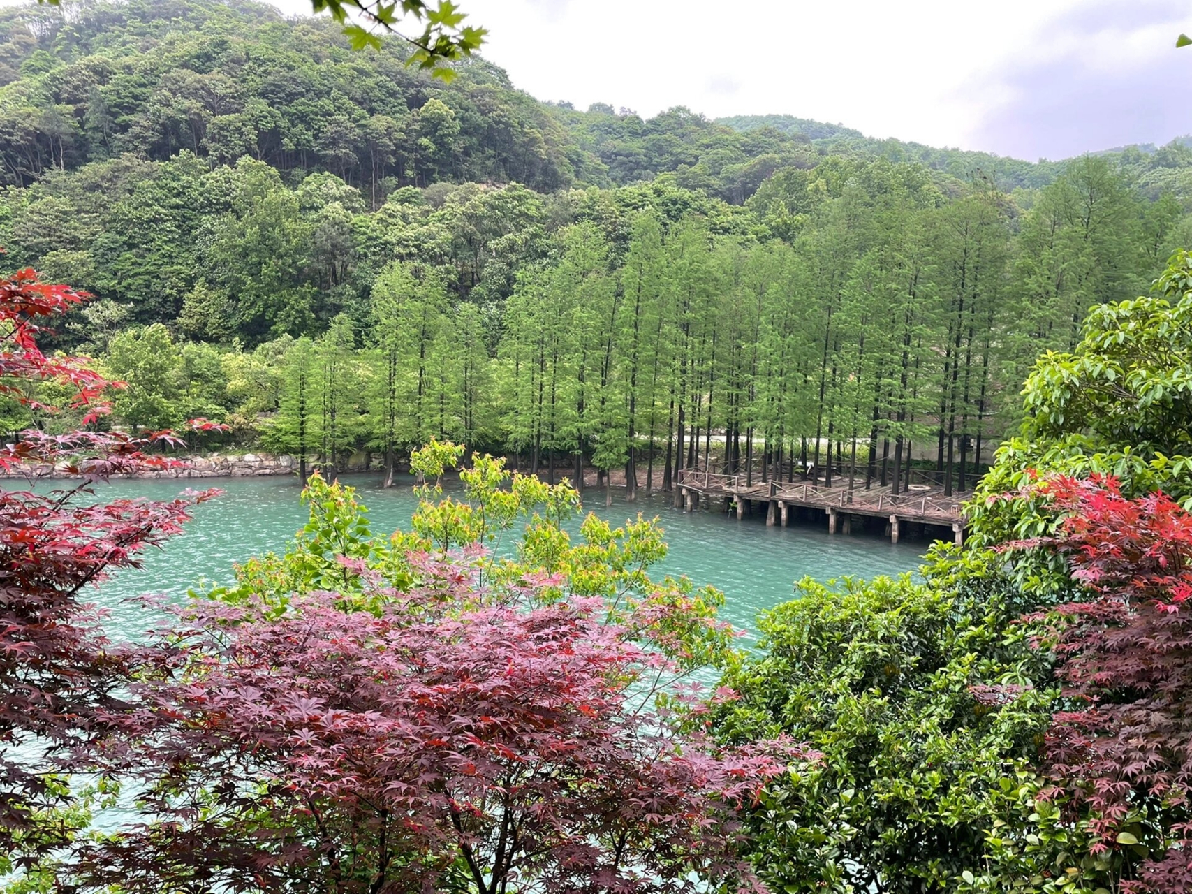 上虞桃花源景区图片