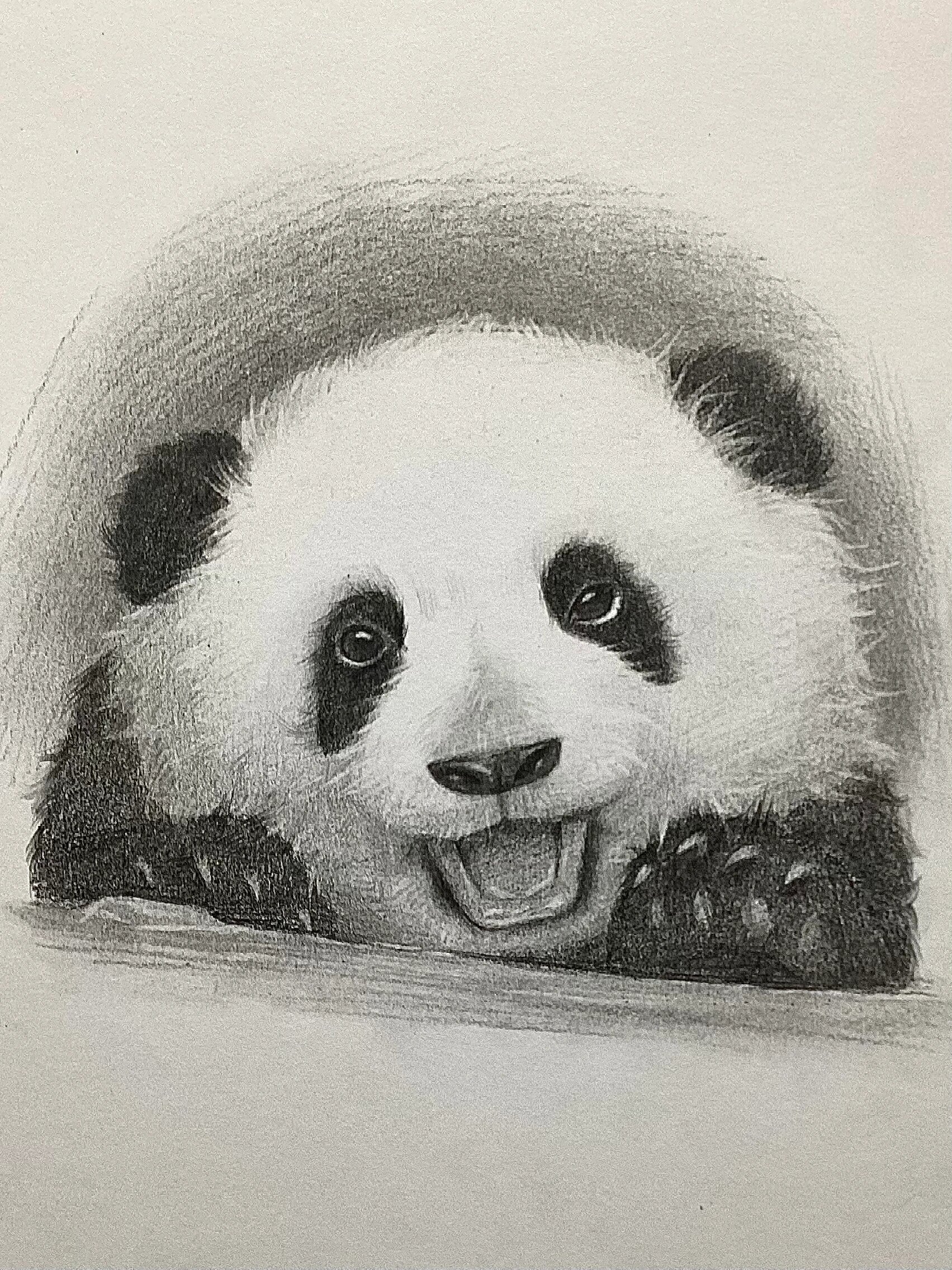9494素描超可爱熊猫 步骤详解