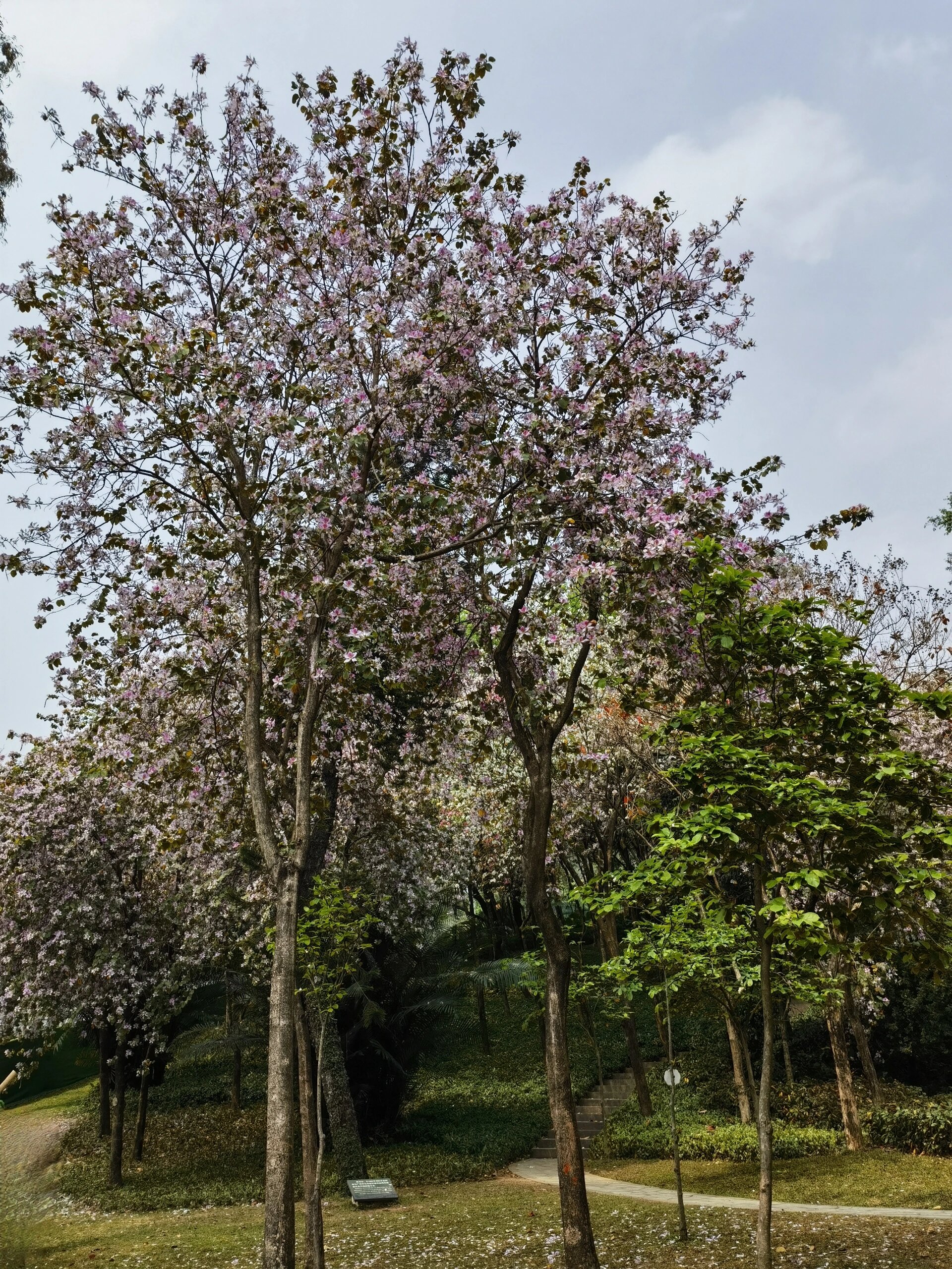 喜欢🌸