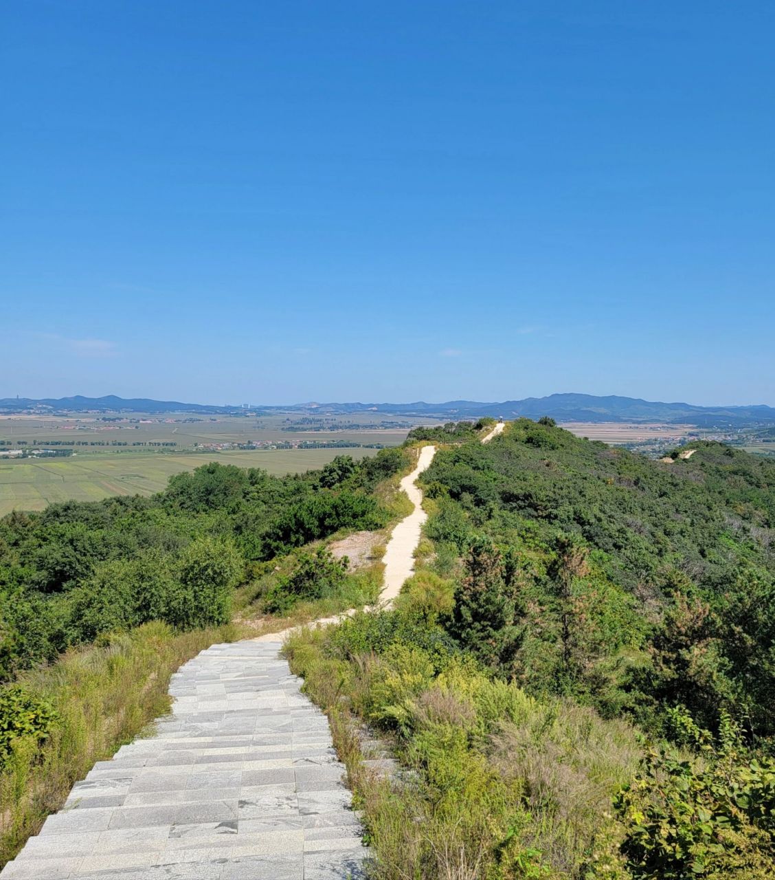 棋盘山三山连爬 在北站坐177到大溪地下车,一直往北走,就走到樱桃山
