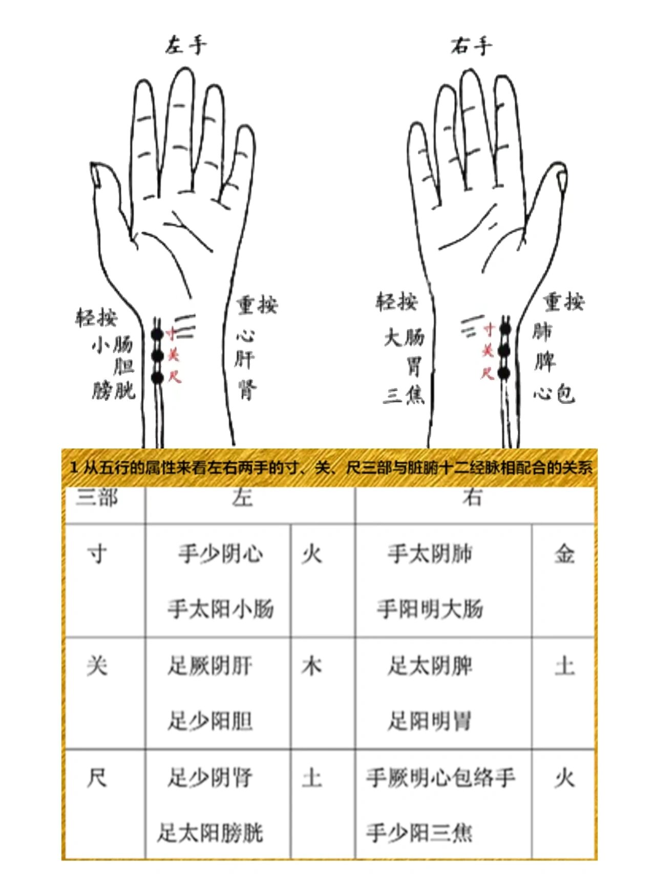 我们今天就来说说这些问题: 确定位置: 在手腕高骨向内侧推,在筋骨