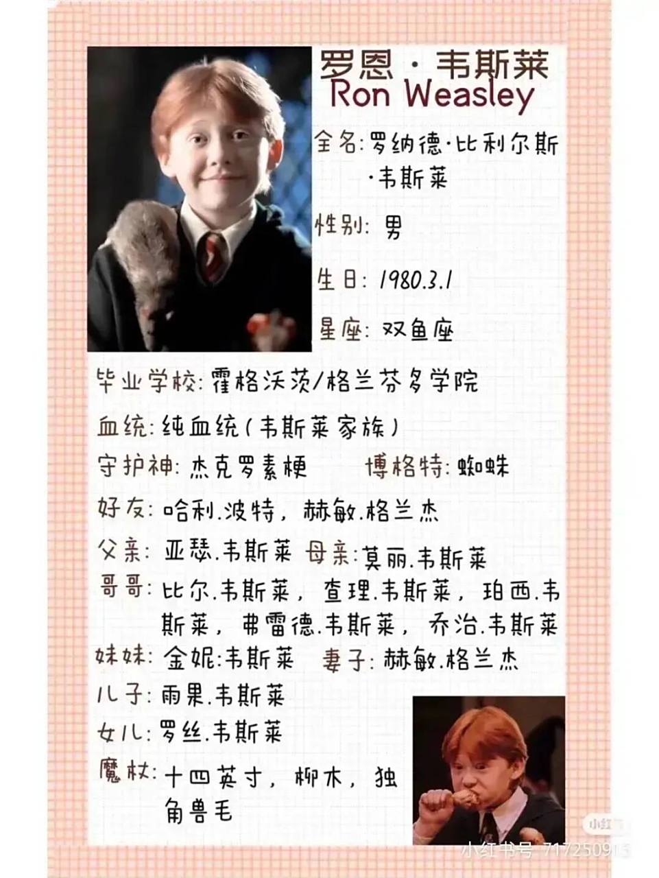 哈利波特人物档案