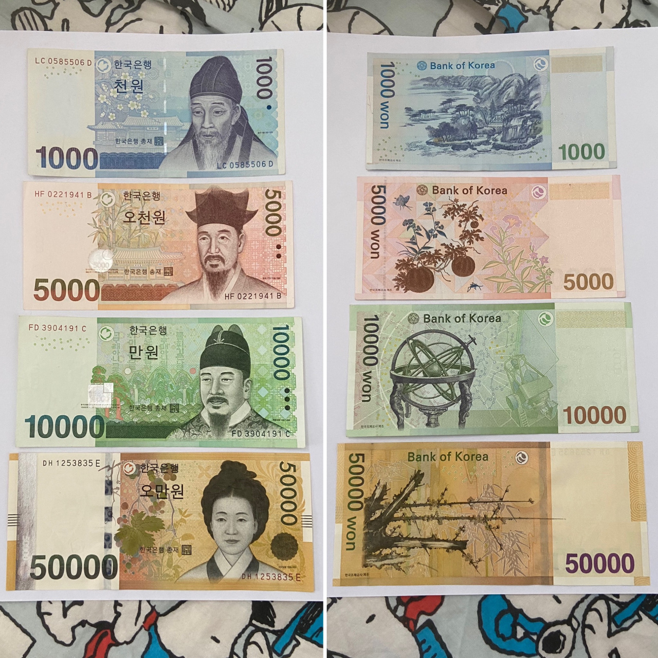 韩币图片5000值多少钱图片