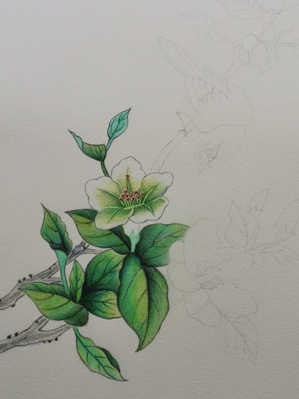 彩铅画(61)鸟语花香 临摹春堂书画老师的作品.感谢分享!