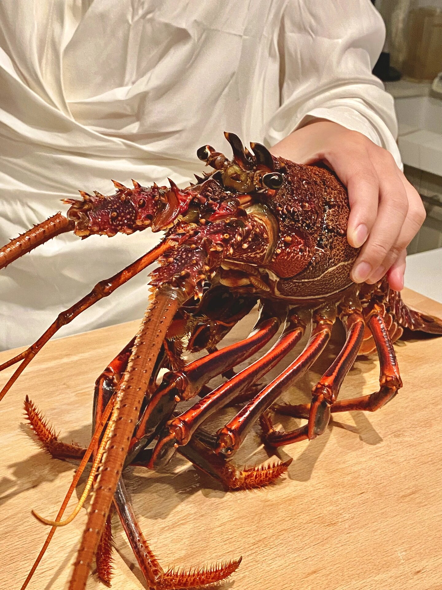 澳洲龙虾真的比梭子蟹还要便宜