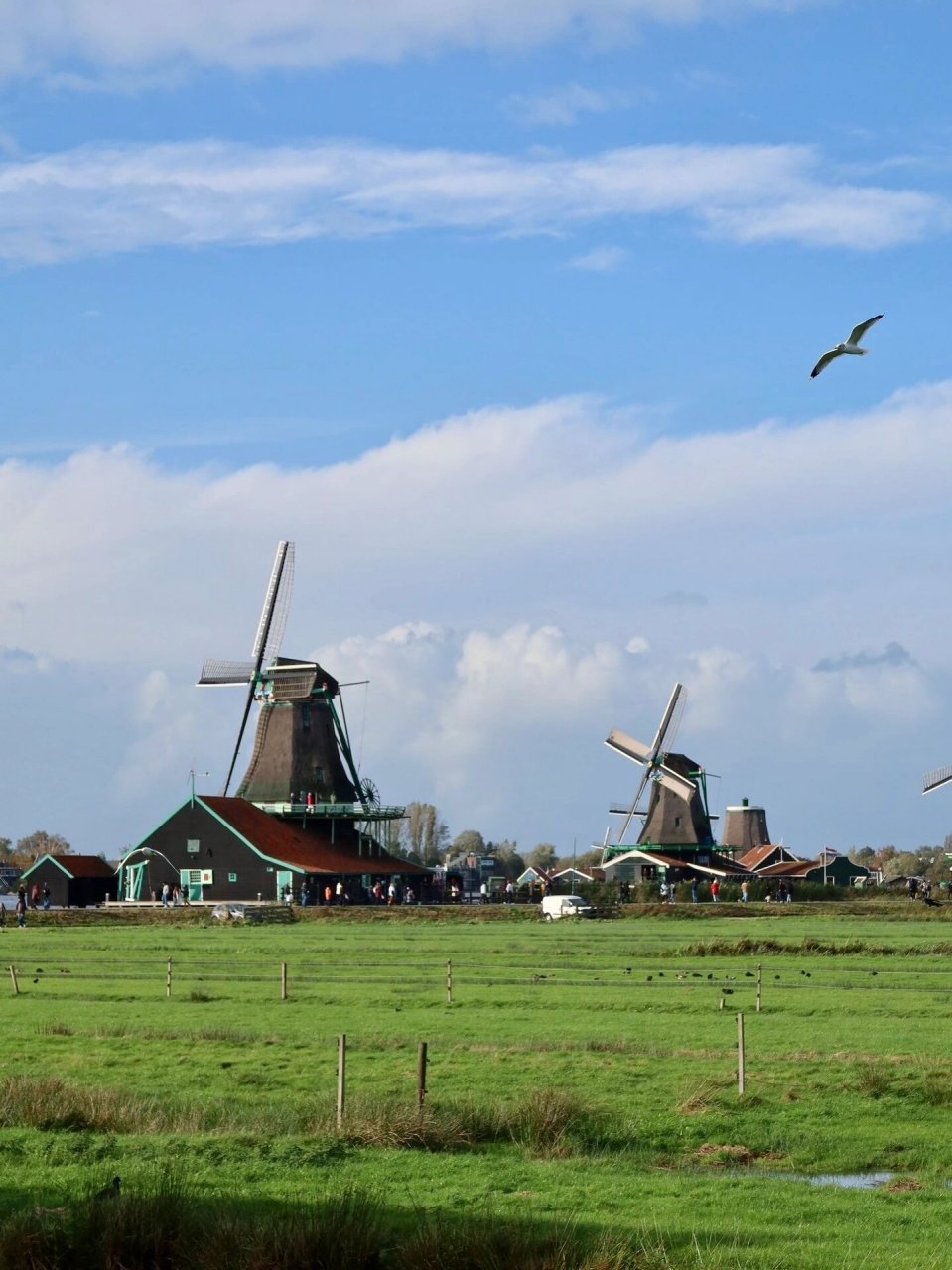 荷兰风车～ 虽然天气不是很好 景色还是不错的 据说十月是荷兰雨最多