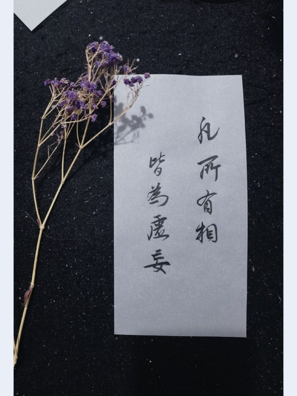 应邀写稿 凡所有相 皆为虚妄#我的书法分享# #书法# #书法练习打卡