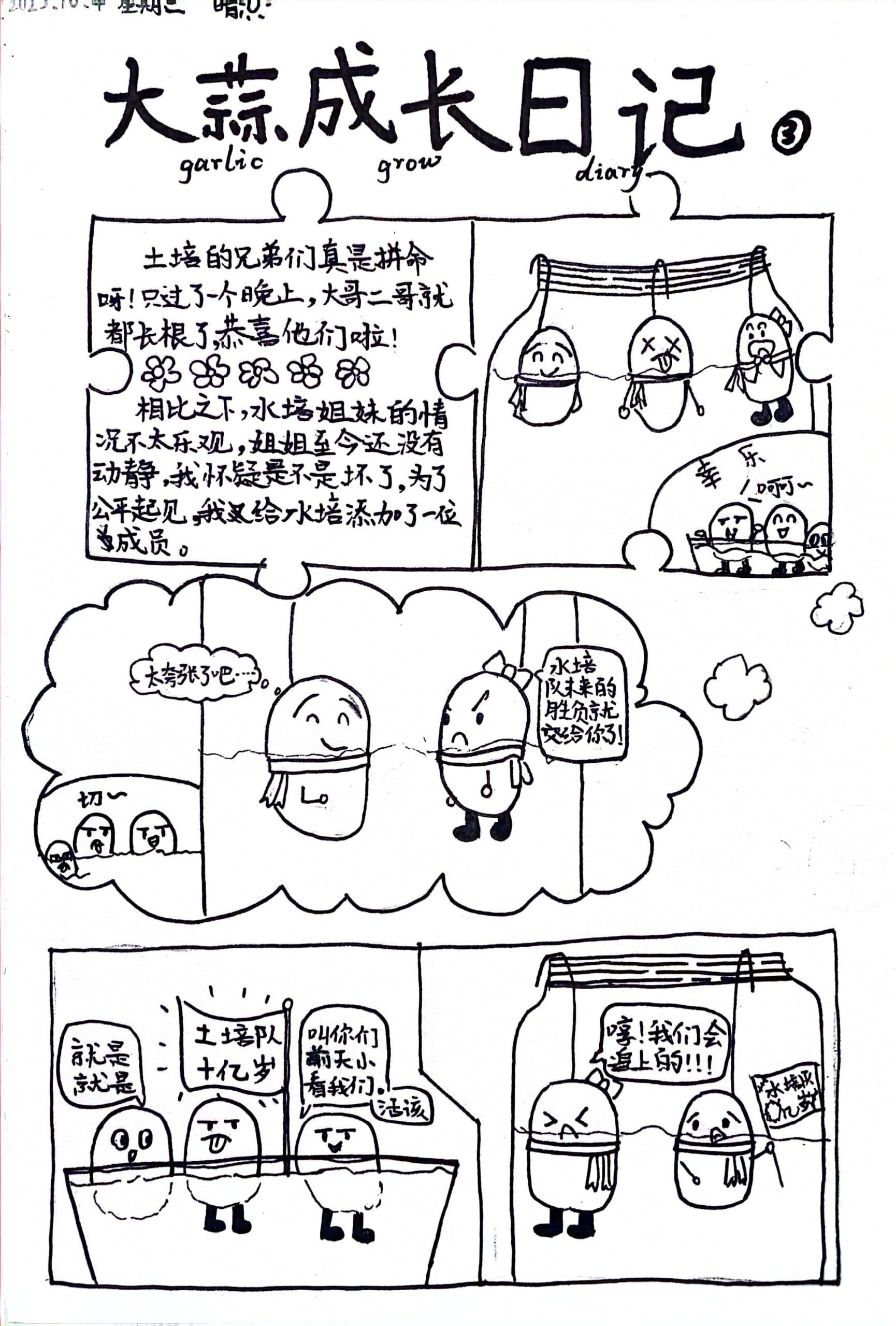 四年级观察日记(大蒜成长日记) 小学四年级观察日记——图文漫画式