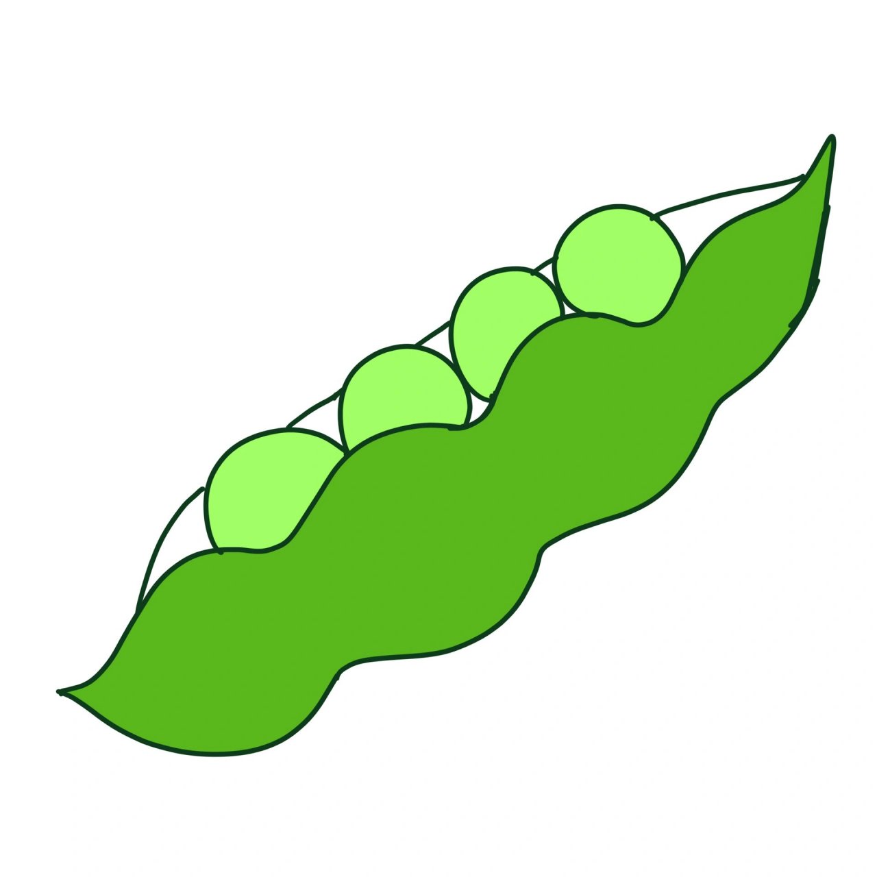 蔬菜植物系列9799简笔画:毛豆 今日份打卡:营养的毛豆 第一步:画