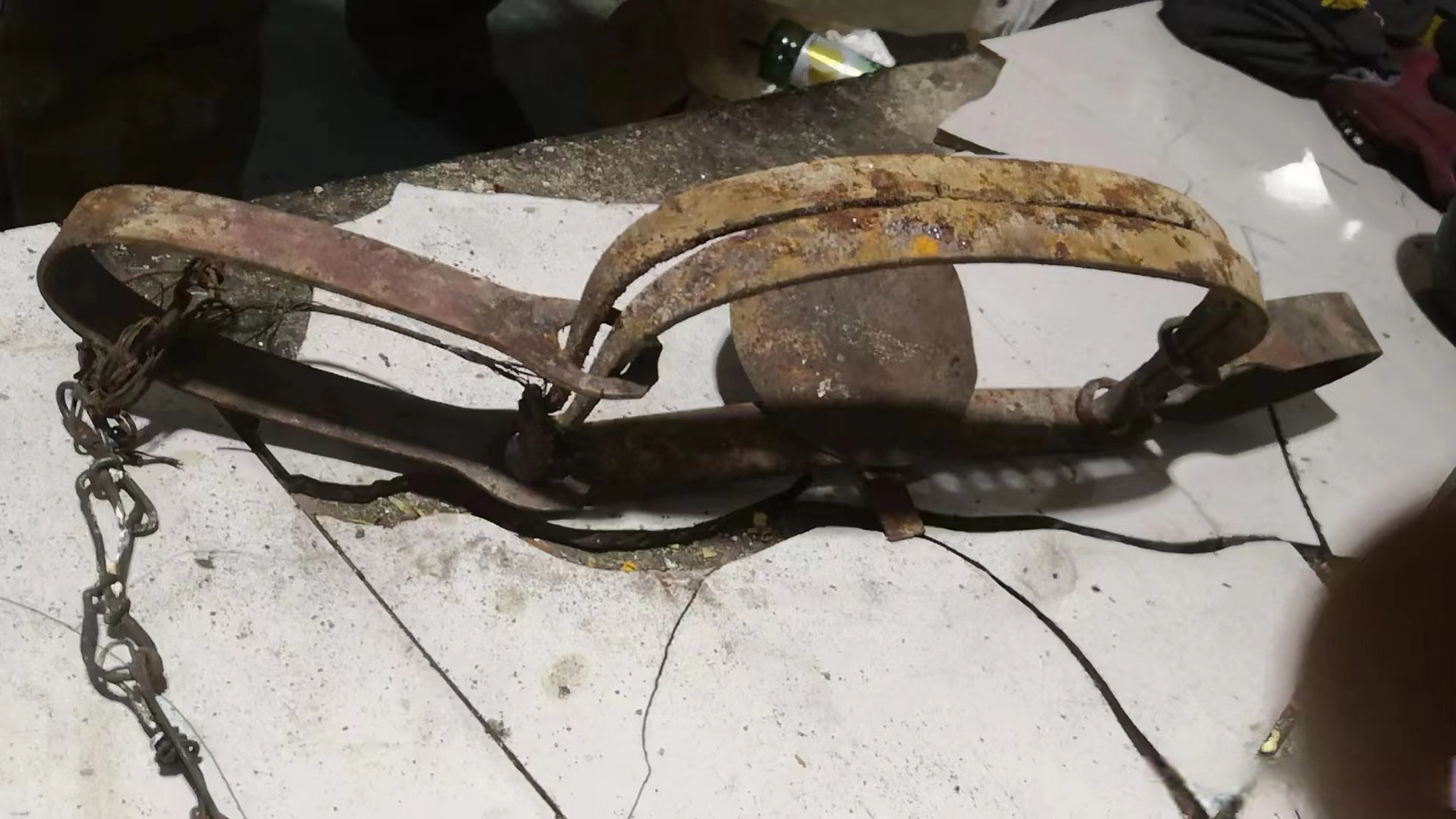 茫茫草原,如何找到盗猎者并清除非法捕具?