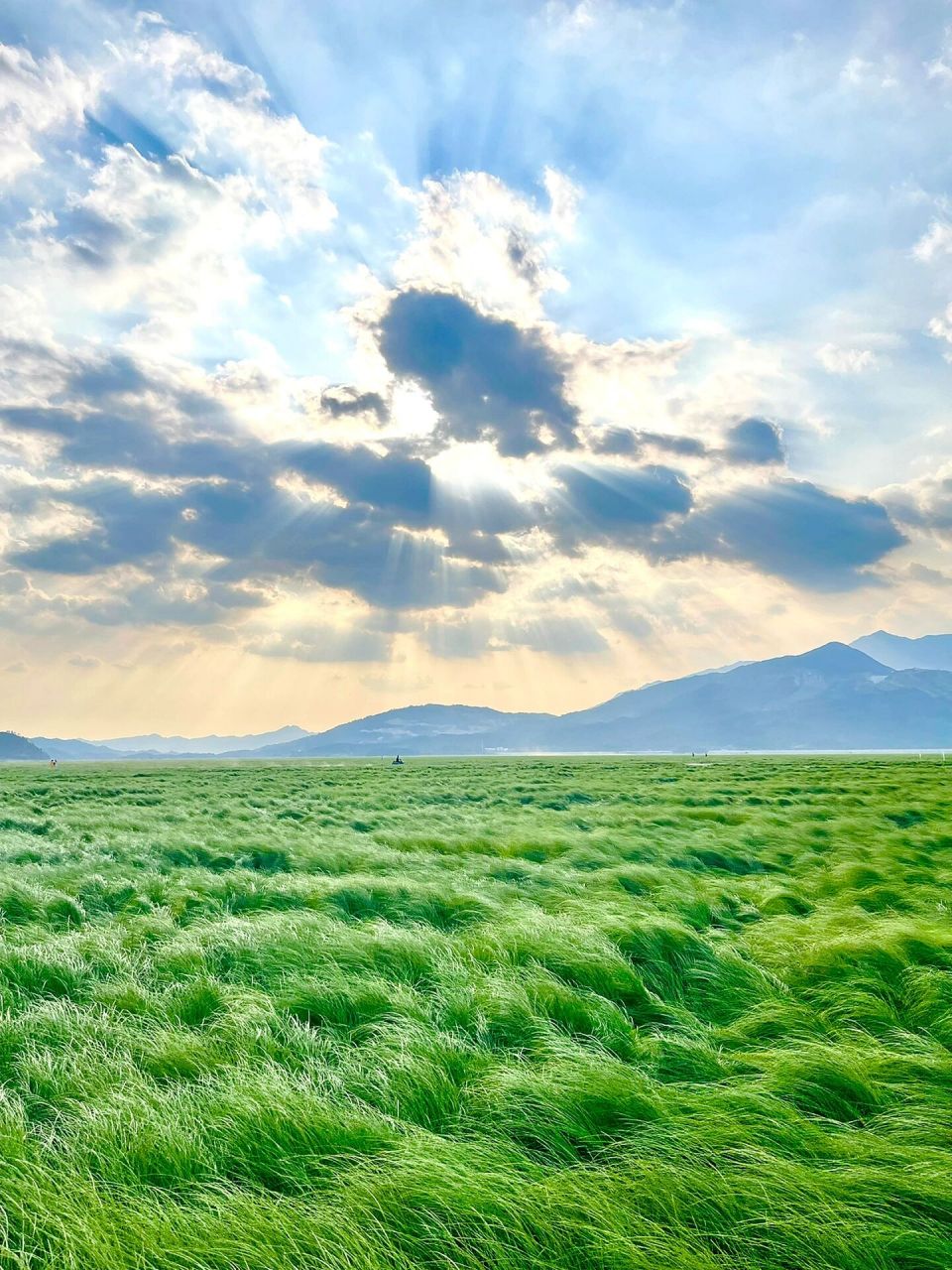 江西也有大草原啦|鄱阳湖61邂逅草海|落星墩 抓住夏天的尾巴,邂逅一