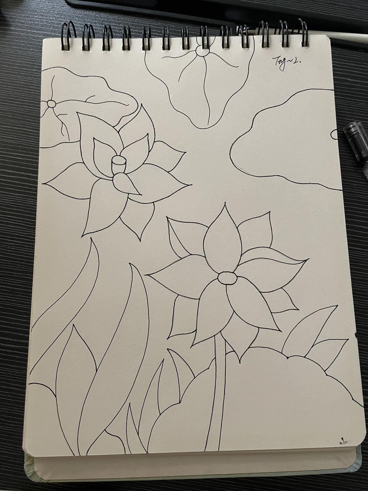 黑白线条画 荷花 简单易画