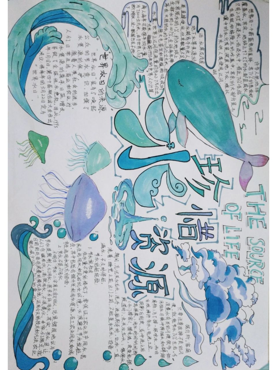 "珍惜水资源"手抄报 前段时间,生物老师要求画的.