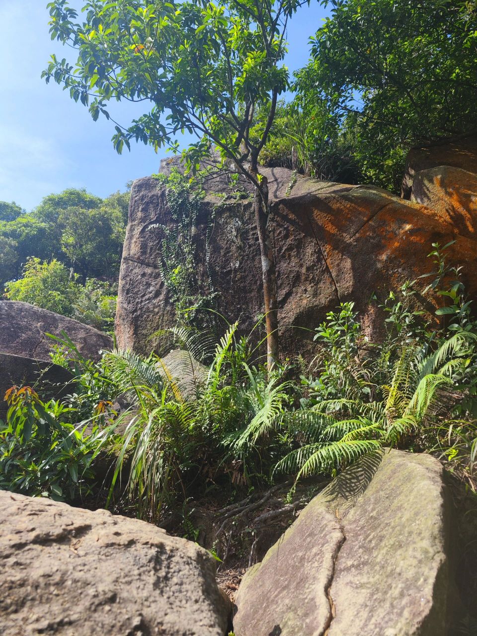 徒步看海秘境小三浪 78没想到在珠海看到了比东南亚还蓝的海域,高栏