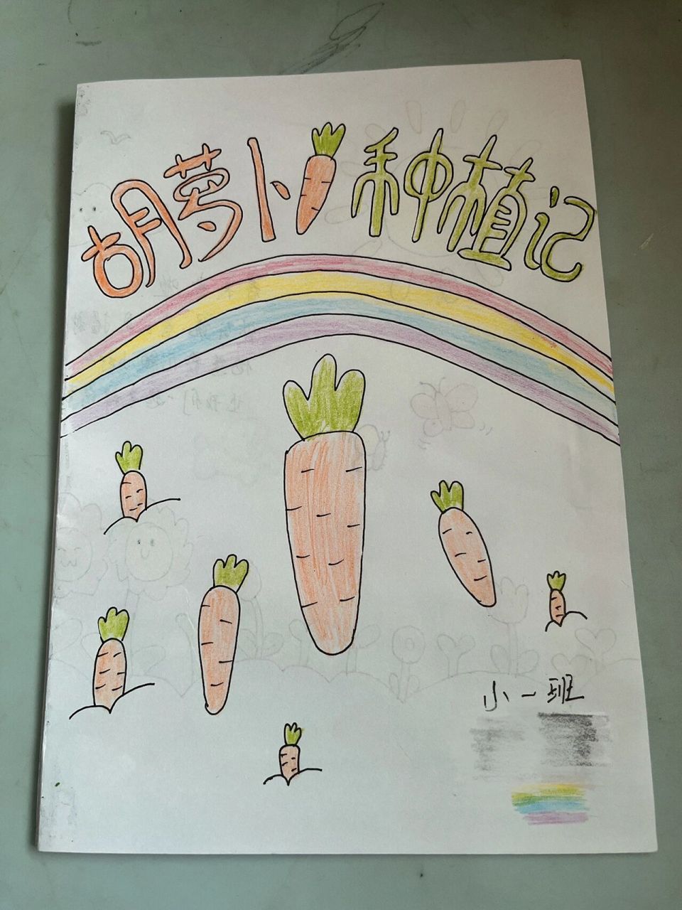 幼儿园自制绘本 老师这周布置的植物生长日记,参照了很多姐妹的作品做