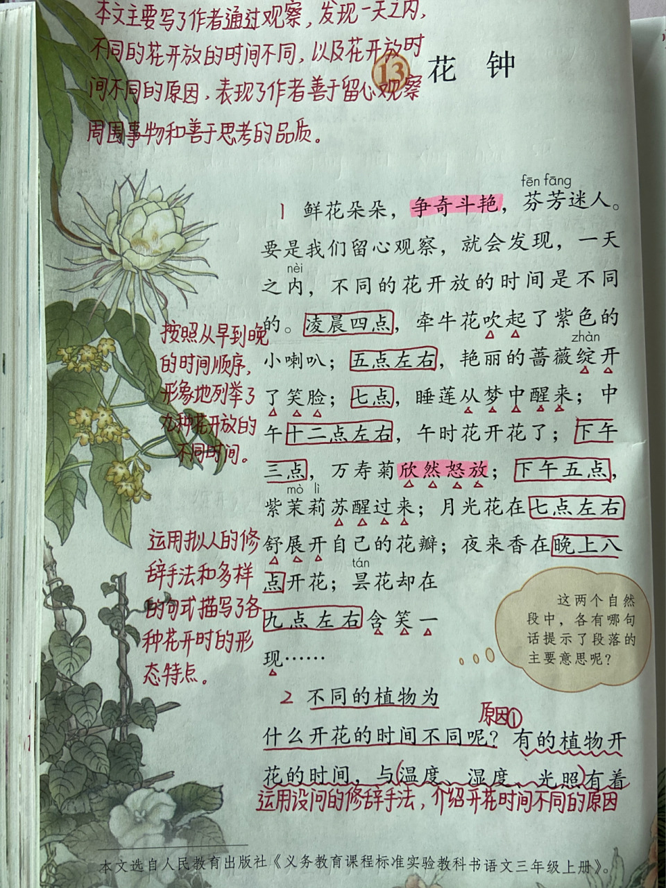 三年级语文下册 第13课 《花钟》