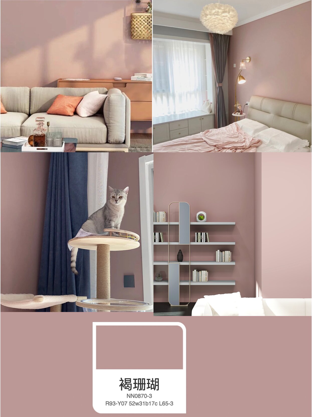 乳胶漆配色|褐珊瑚尽显法式浪漫轻奢粉 95珊瑚正如它的名字一样,给