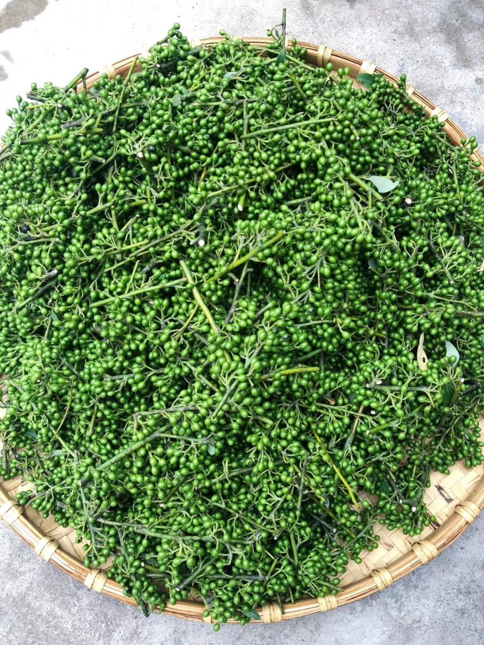 云南野生山胡椒 云南特有野生山胡椒做成酱,拌饭拌面好吃哇97