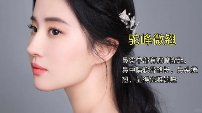 鼻尖下垂女人驼峰鼻的民间说法加拿大人驼峰鼻王鹤棣微驼峰鼻罗马鼻和