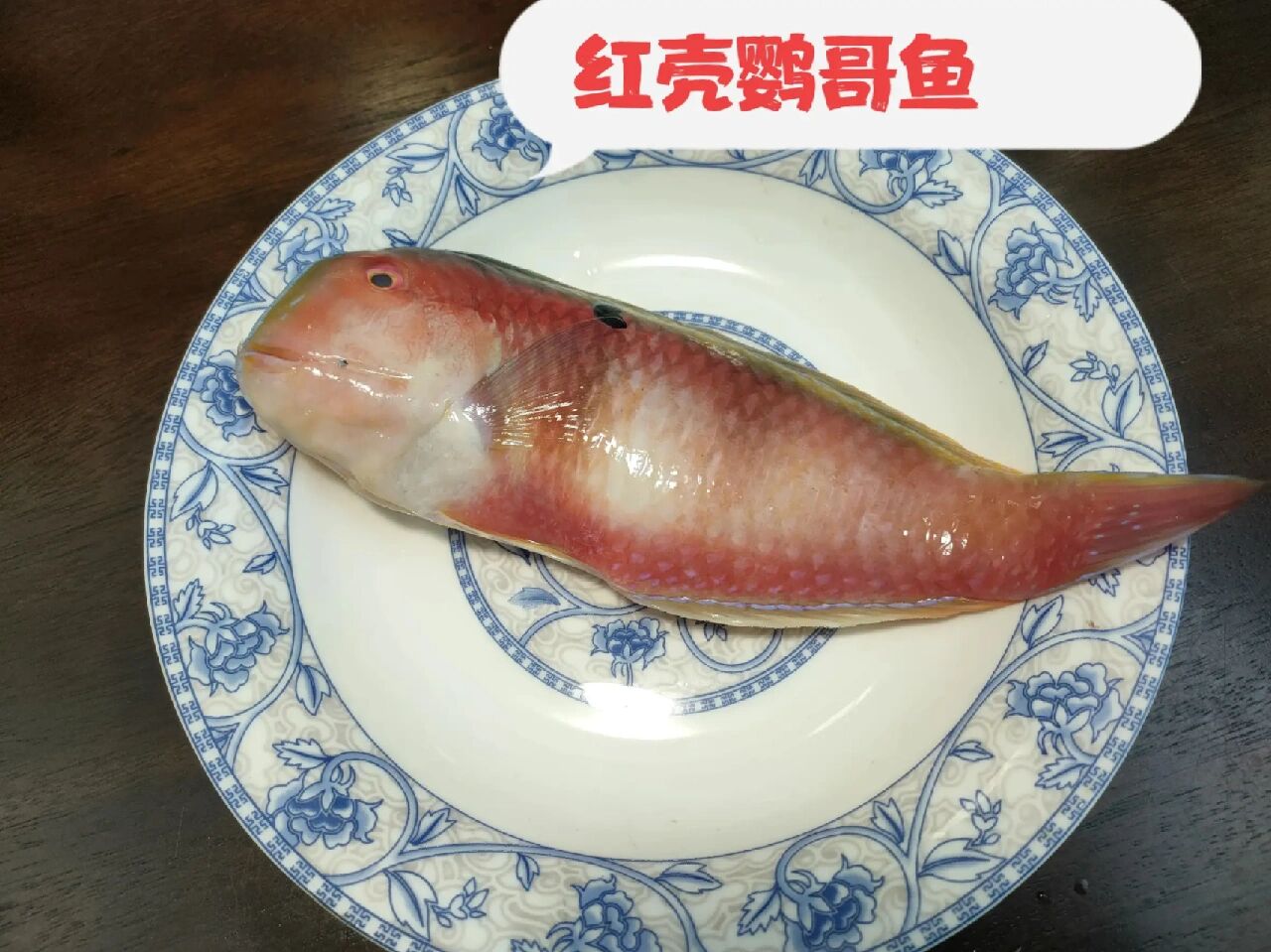 潮汕鹦哥鱼三大品种 潮汕鹦哥鱼(鹦鹉鱼),深海野生鱼,鱼嘴和外皮如