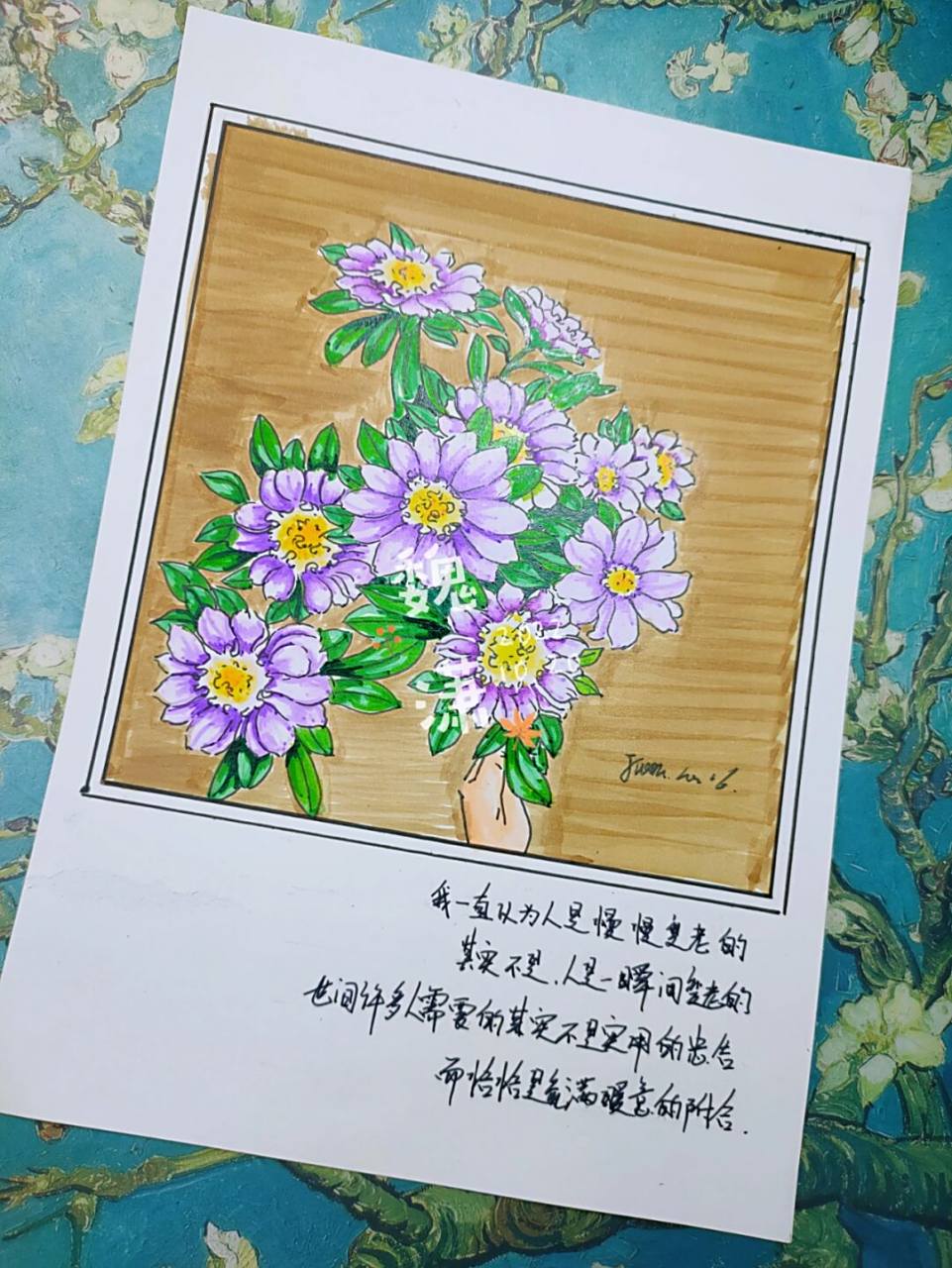 马克笔手绘–花卉系列(翠菊) #马克笔绘画# #手绘# #画画# #翠菊