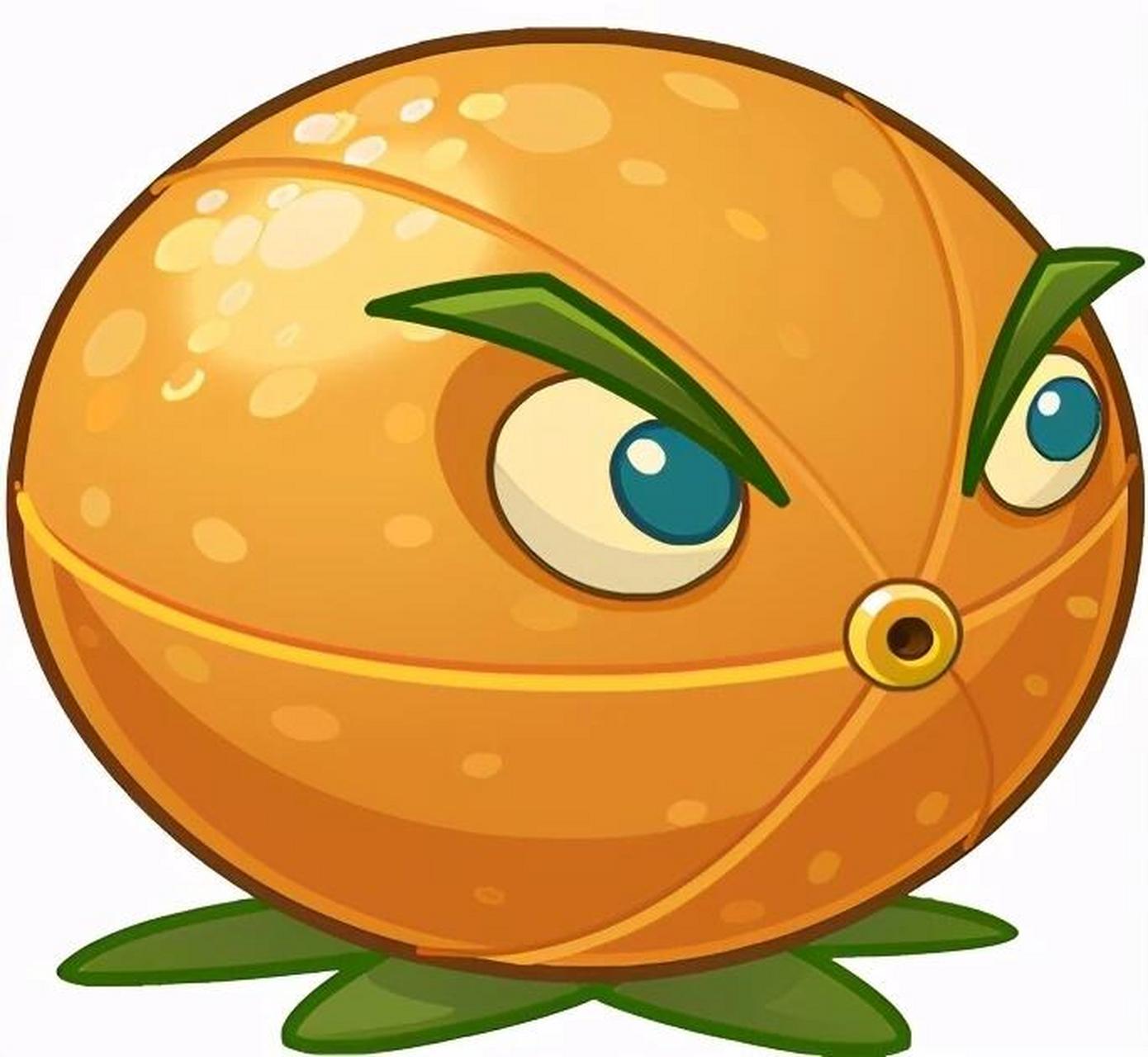 充能柚子:香橼 一,植物学特征 99 树木特征: 香橼是一种不规则分枝