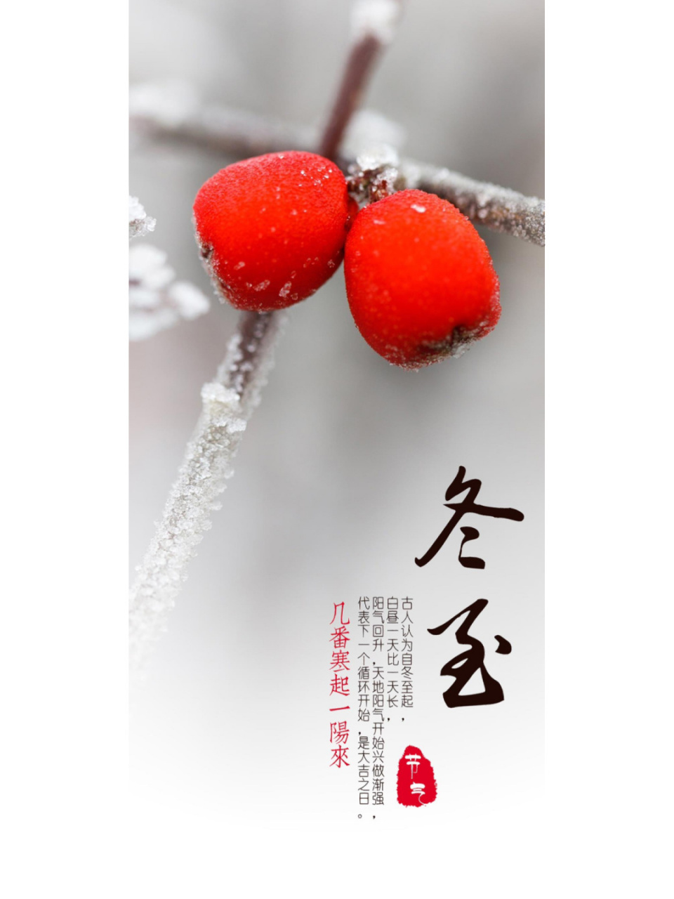 冬至壁纸 | 冬至文案 | 二十四节气冬至 09 一年一冬至,一岁一安康!