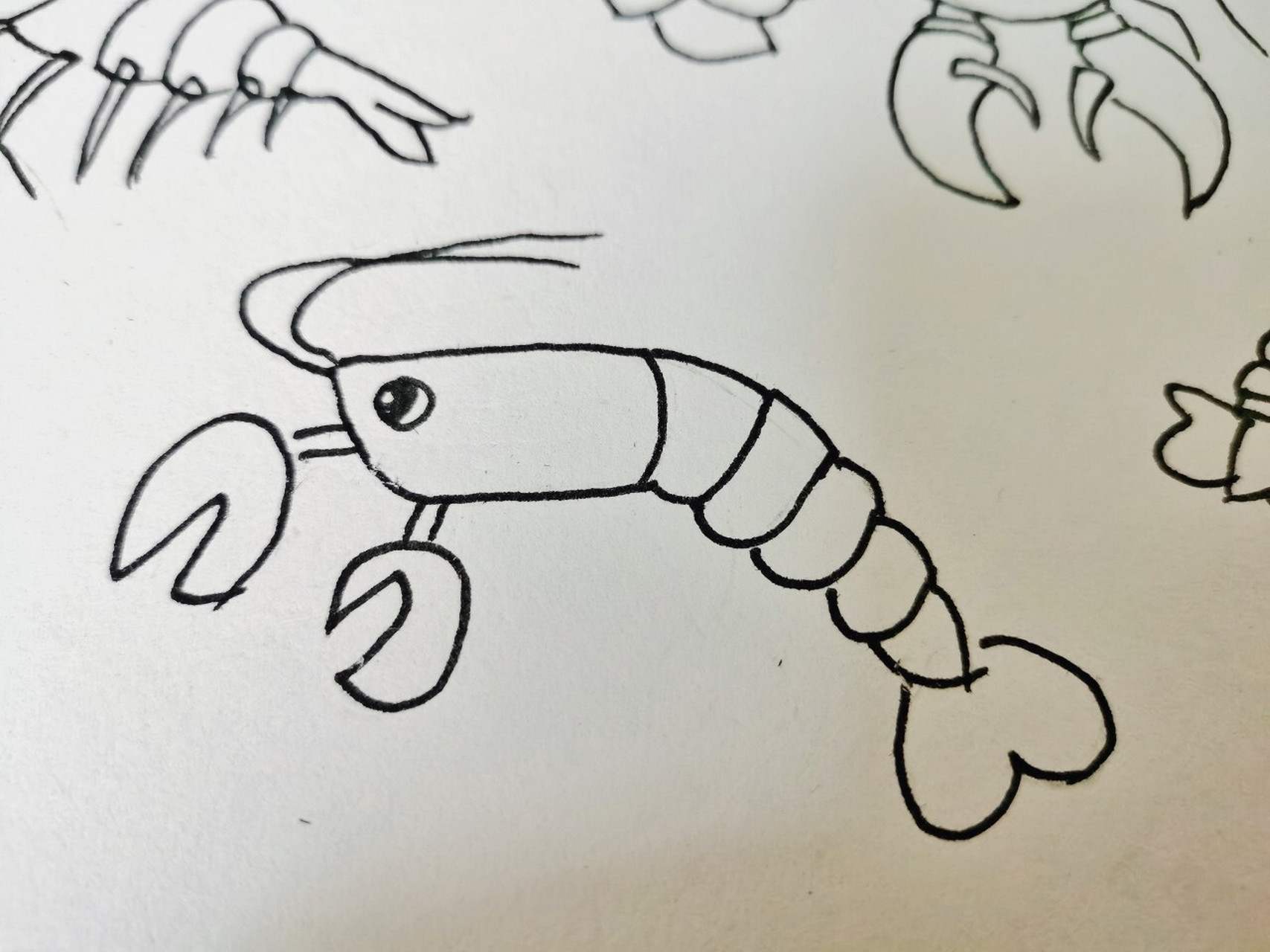 幼师day67---简笔画:虾 每次看到虾就想到了齐白石的《虾》 但我感觉