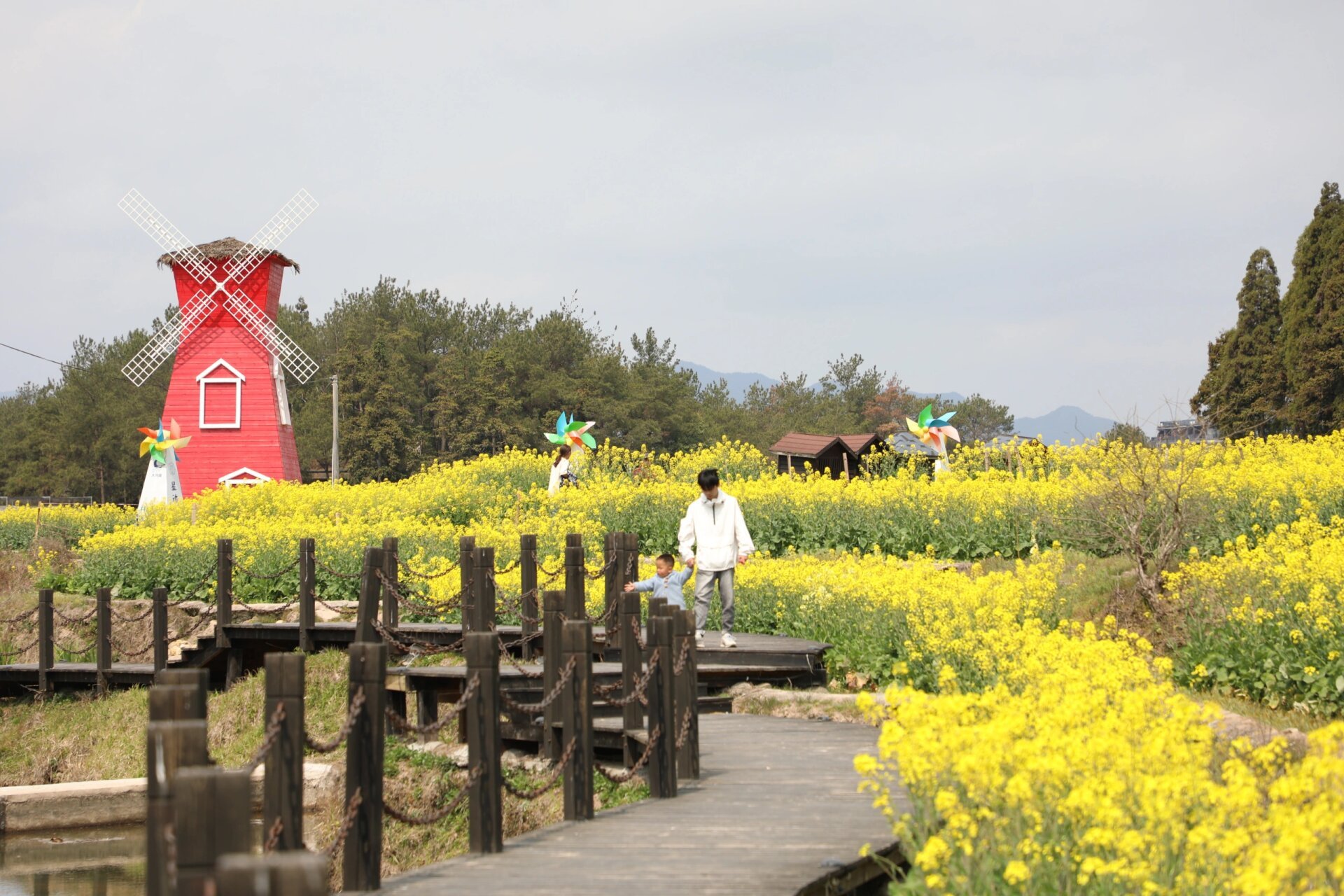 一起去野75一起嗨|露营娱乐|大月湾送福利啦 白云如絮7815微风