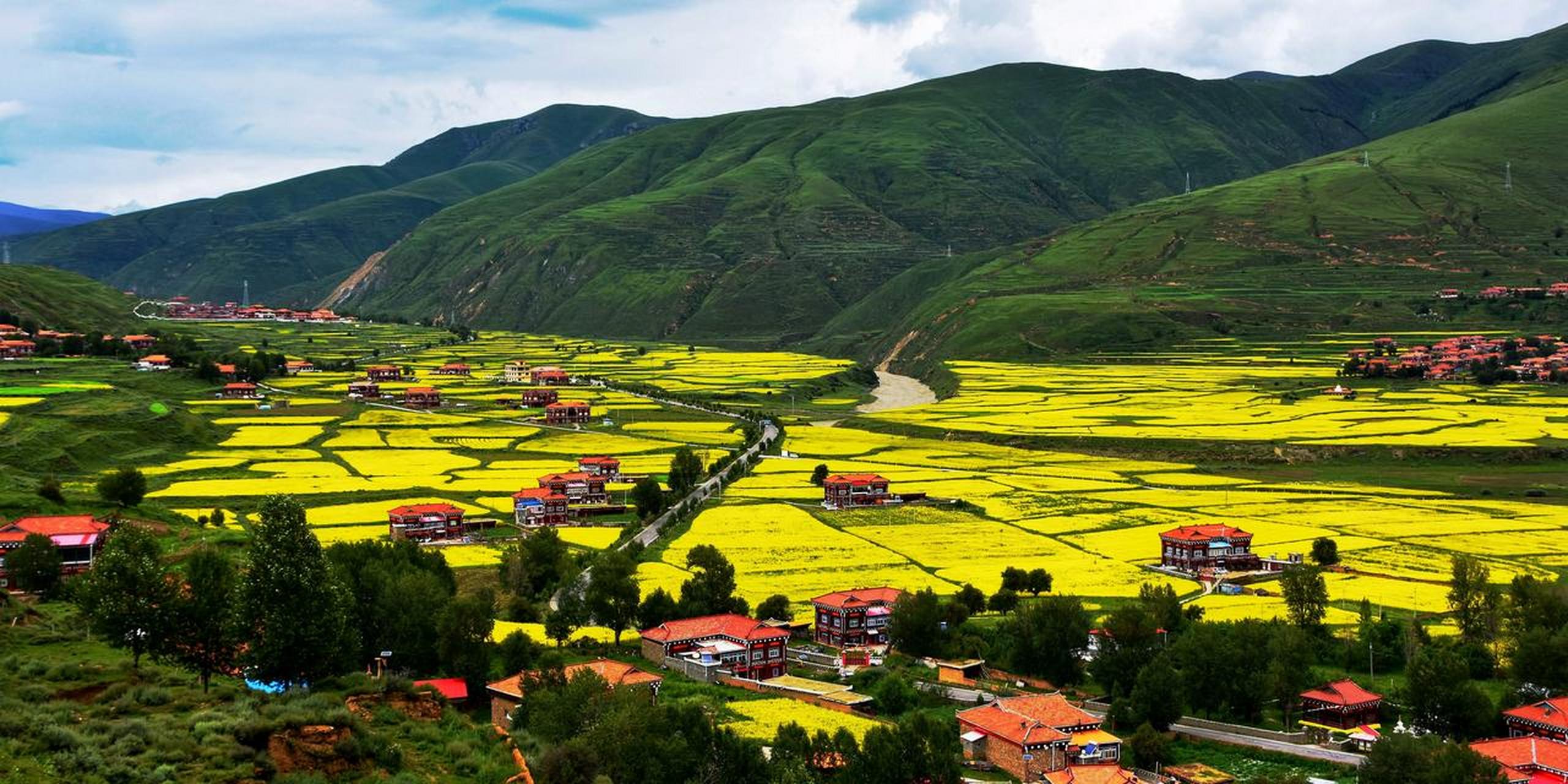 炉霍县太美了,几年之前去过一次,走的g317国道去了西藏,炉霍县是必经