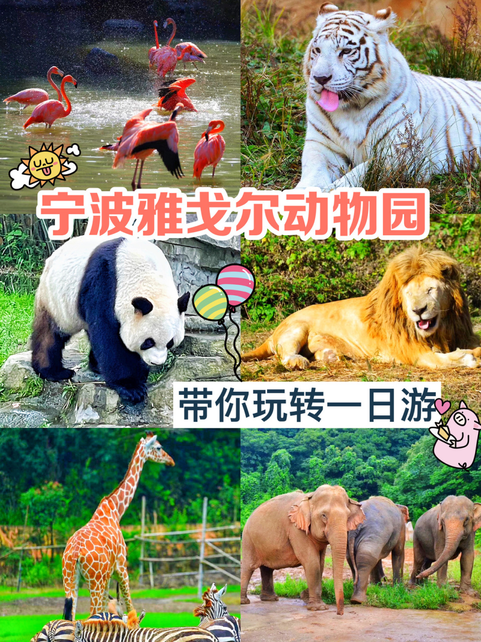 宁波雅戈尔动物园攻略97带你玩转一日游00 7715假期游玩去