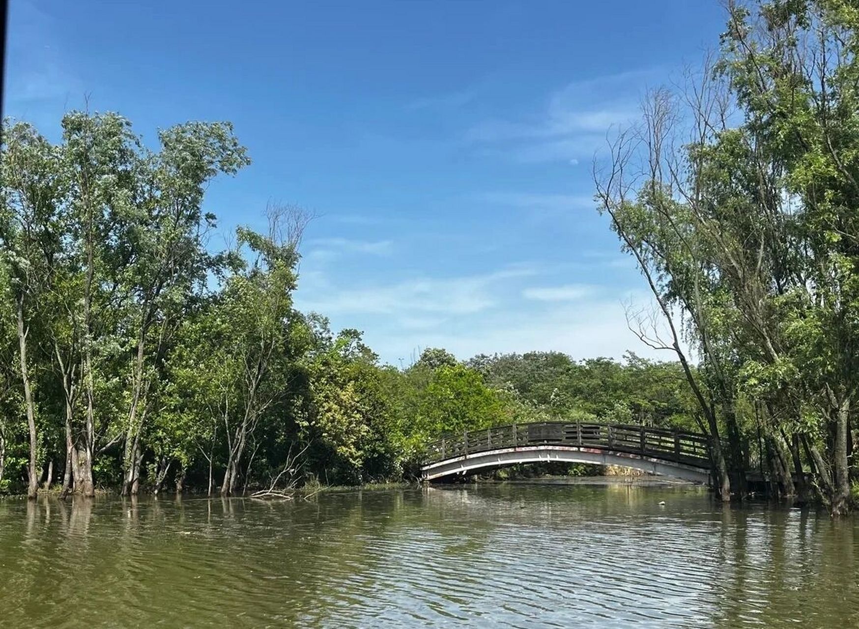 【仙山湖】水上富士,仙境般的湿地公园✨ 📍地址:湖州市长兴县仙
