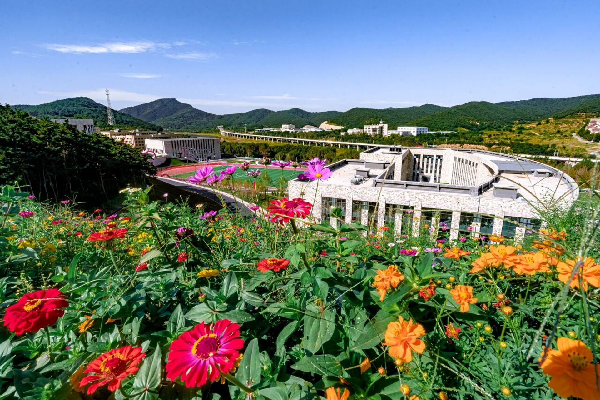 大连东软信息学院(博川校区) 欢迎学弟学妹来到大东软,在这里大四学长