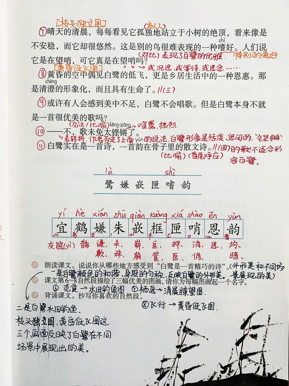 《白鹭》 7815《白鹭》这篇课文的作者是郭沫若