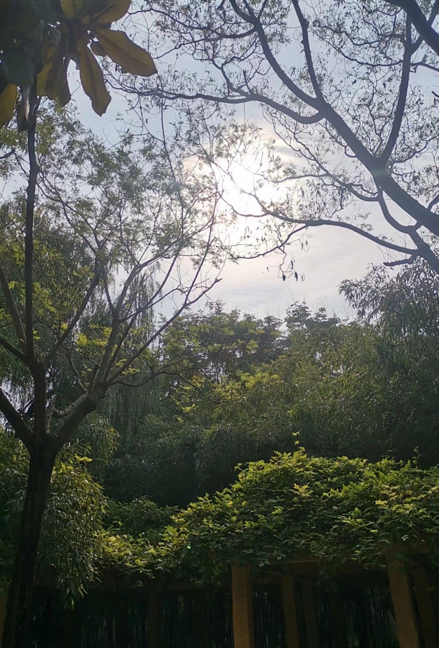 人生就是一个磨练的过程 在阳光下灿烂 风雨中奔跑 泪水中成长拼搏中