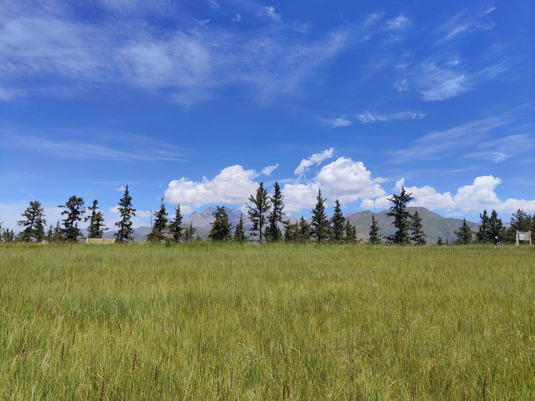 卓尔山一日游旅游攻略 99门票:成人80(含观光车) 学生50(含观光车