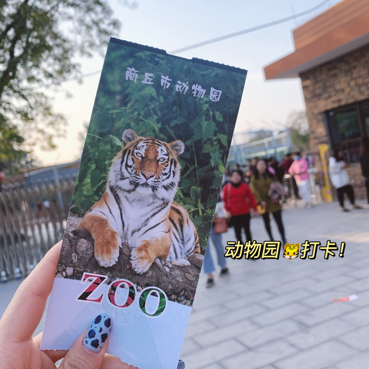 商丘探店|商丘动物园值不值得去?