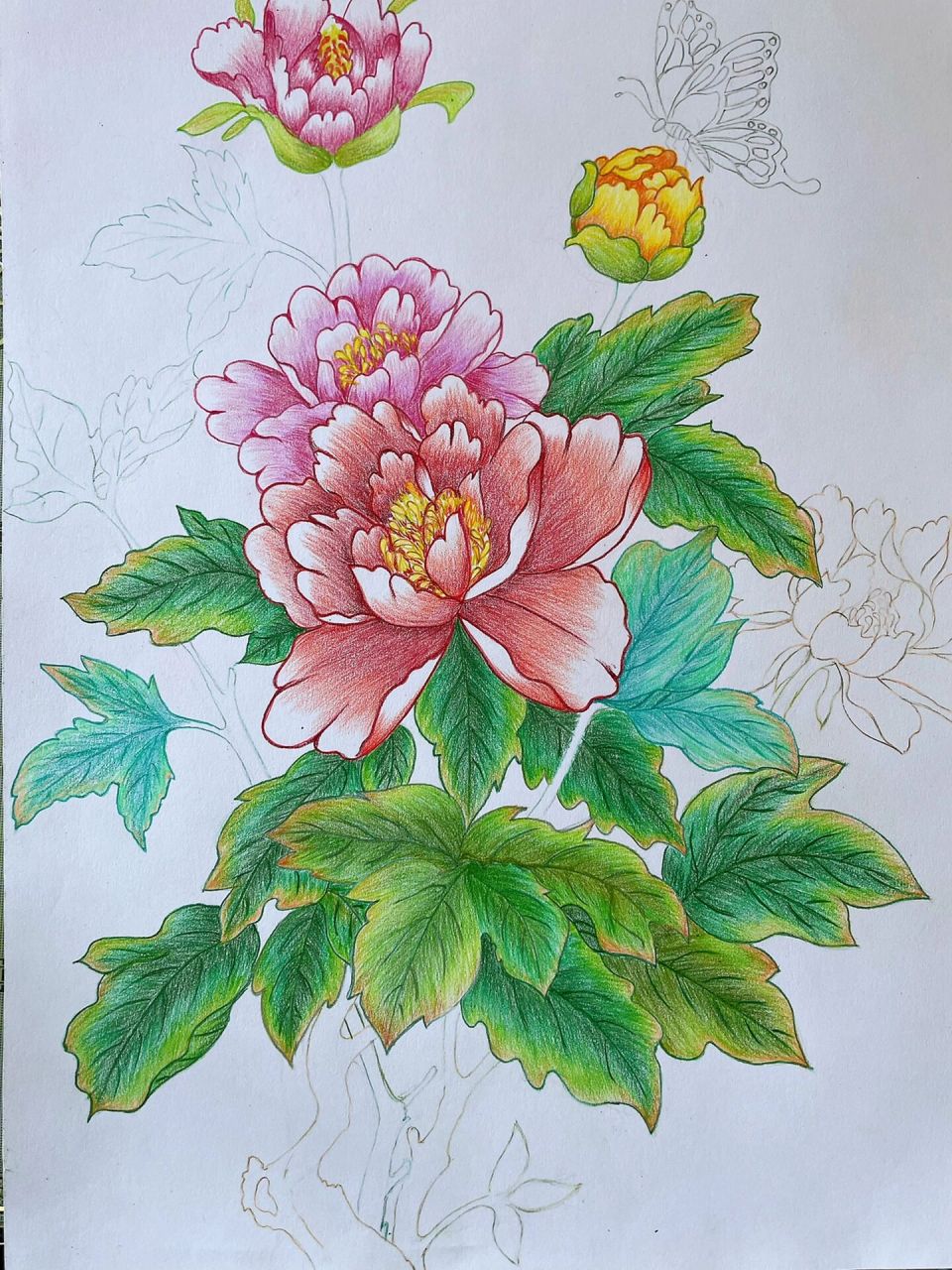 马克笔花卉画 牡丹图片