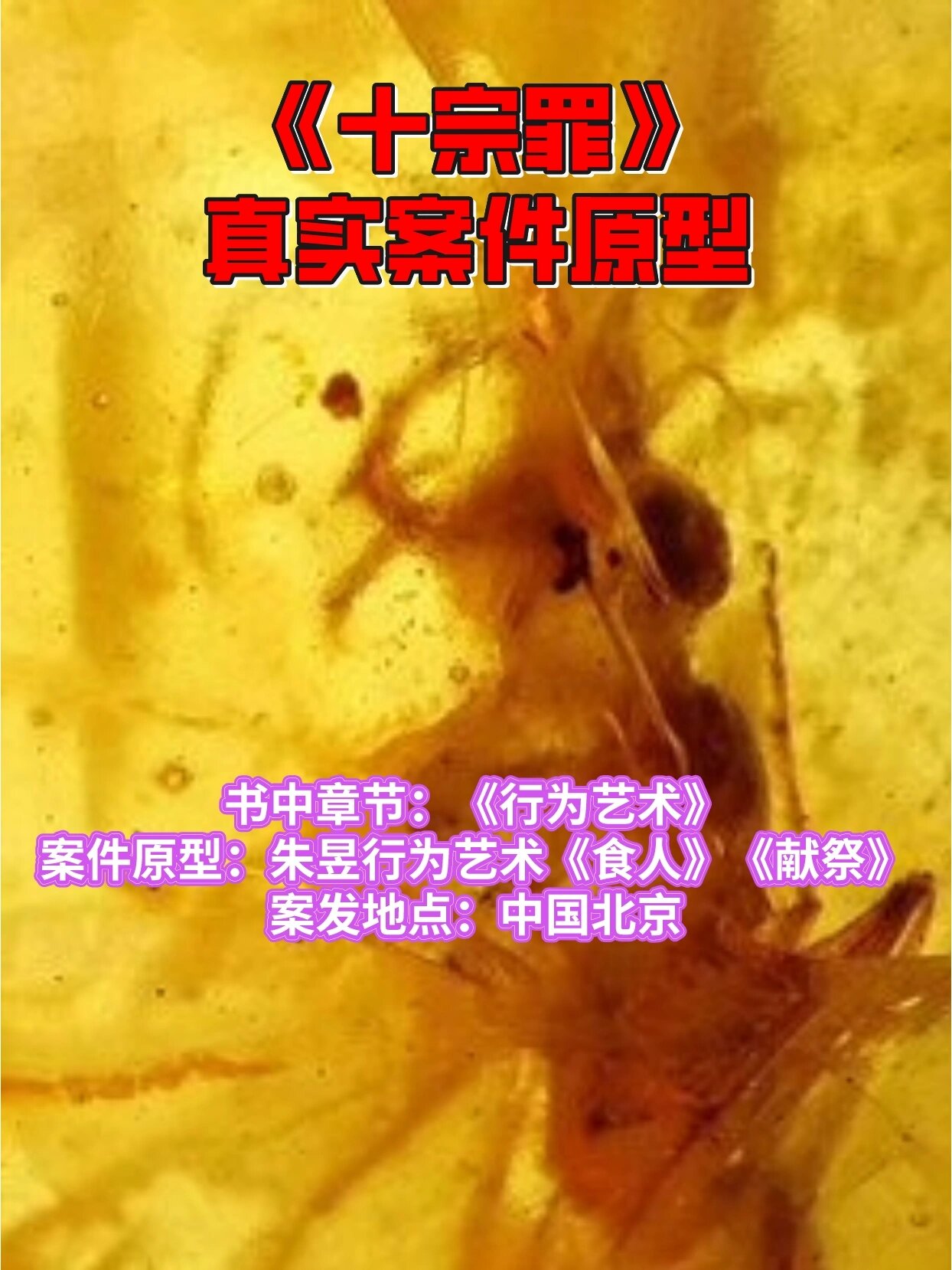 96《十宗罪》中的真实事件33:琥珀童尸案