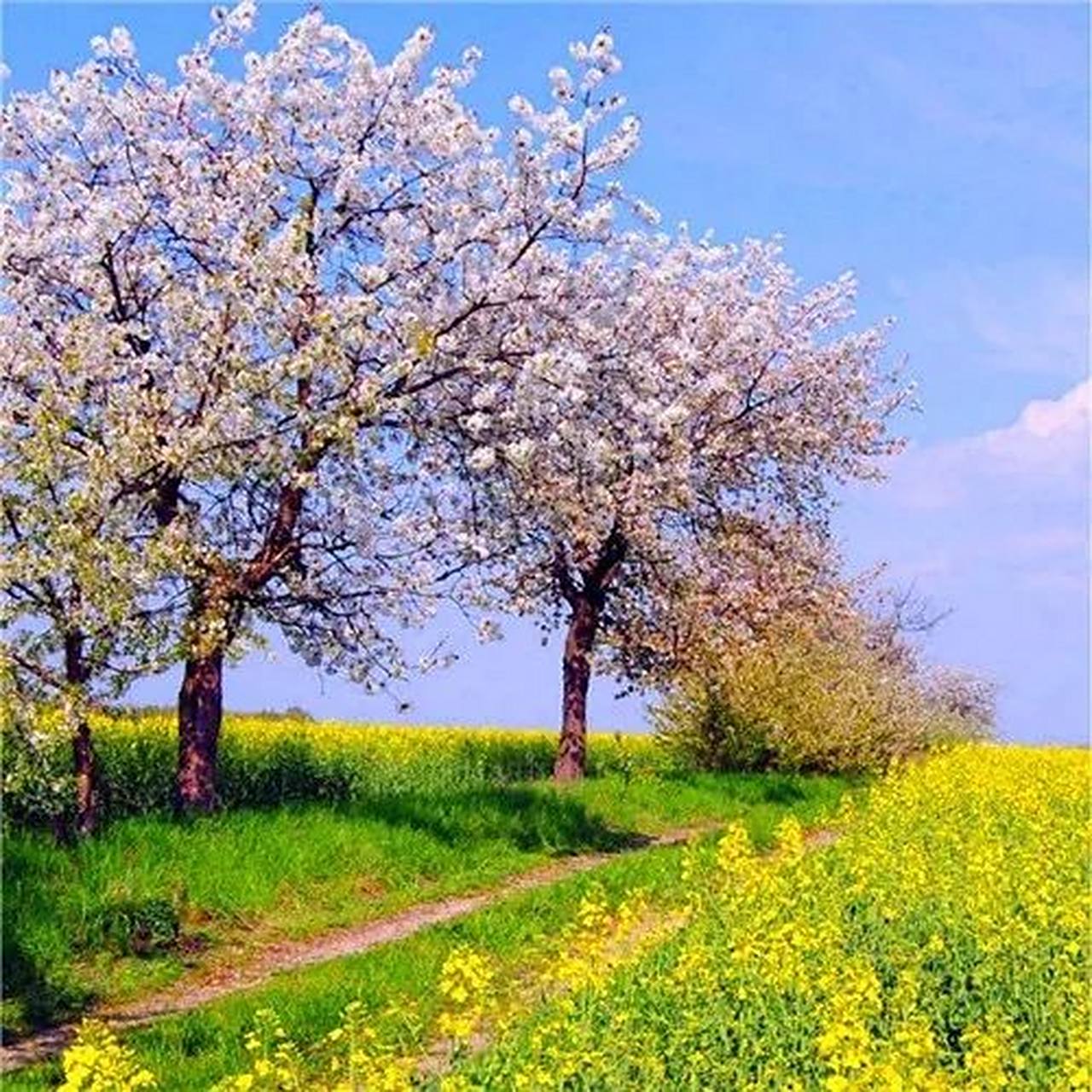 适合年龄大的头像 中老年人专属微信头像,快来看看吧 羡慕从不盲目