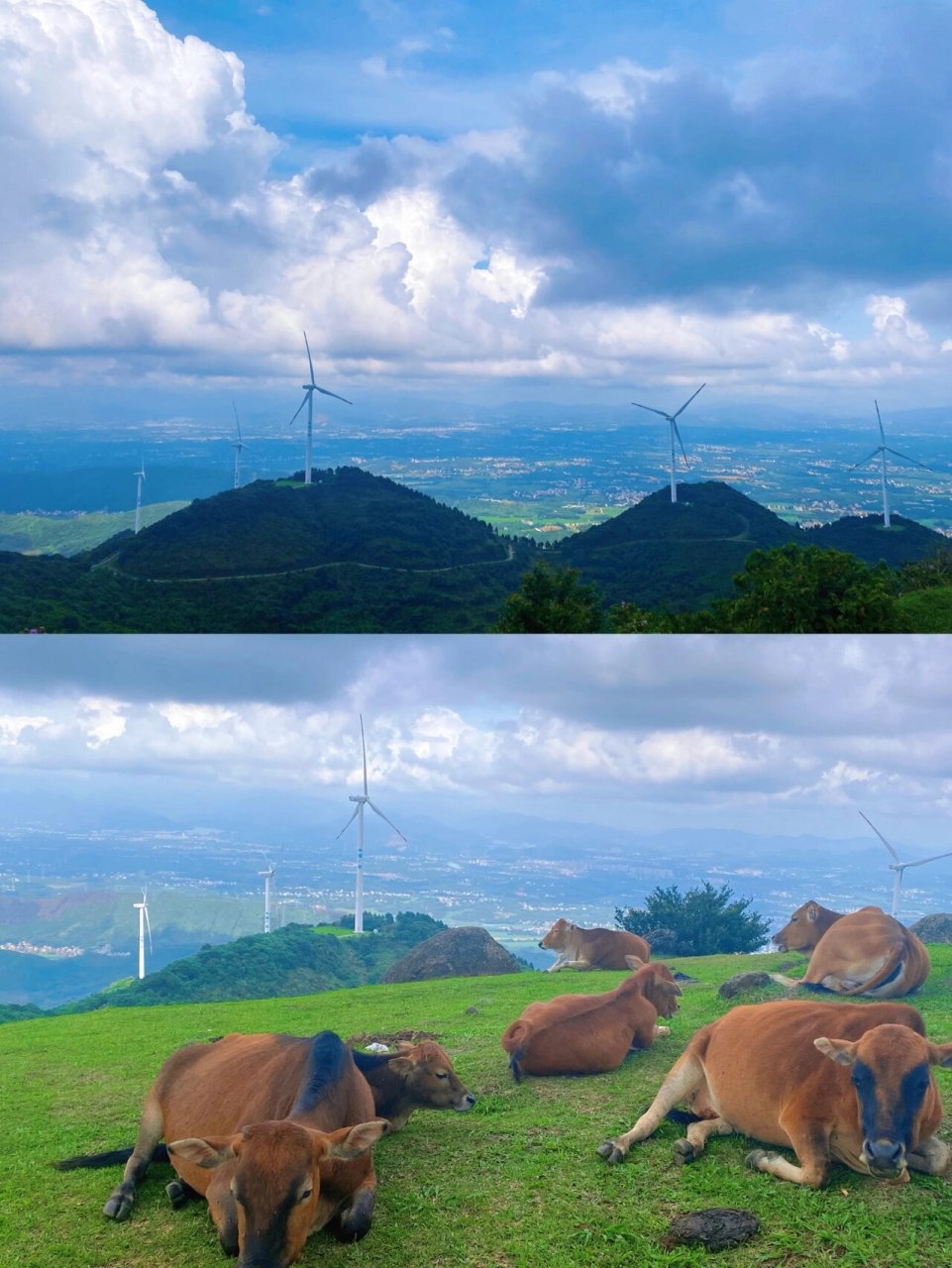 茂名浮山岭|48号风车|超级值得来的地方| 导航01:48号风车  直达