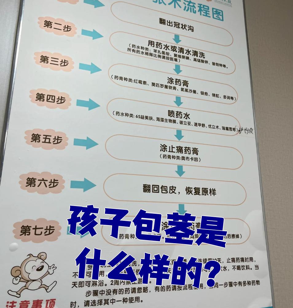 孩子包茎是什么样的?