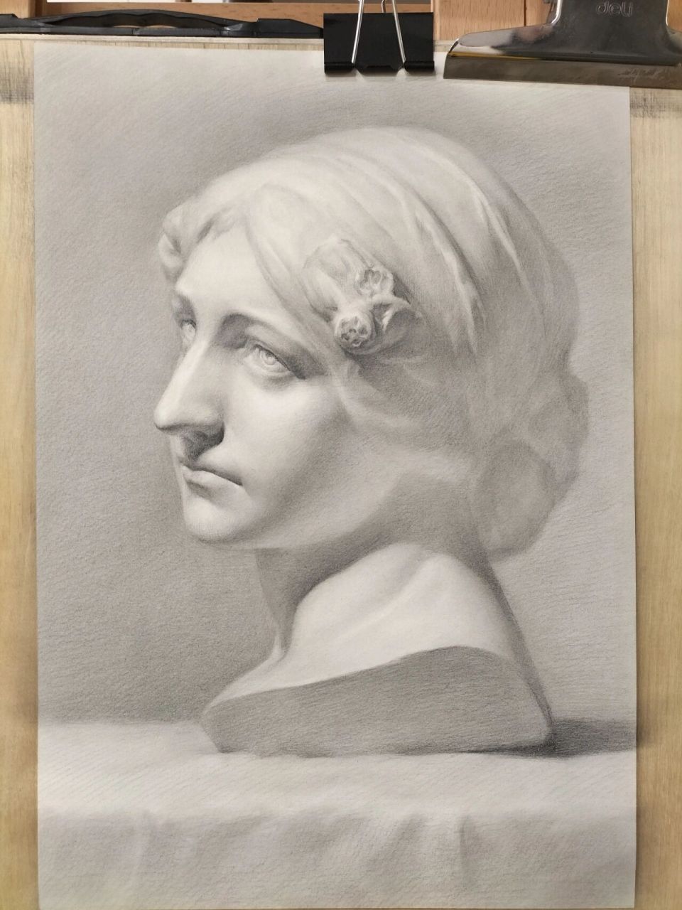 石膏像素描详细步骤(附文字作画步骤) 详细作画步骤,✨✨画出