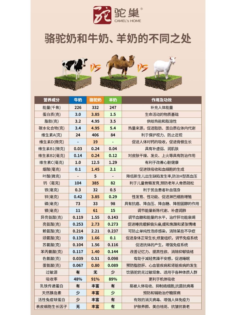 驼奶vs牛羊奶,为什么选择骆驼奶? 驼奶有什么神奇之处?